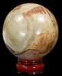 Colorful Petrified Wood Sphere #41954-1